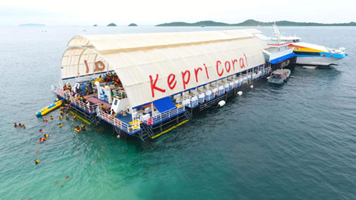 adulamtravel-kepri coral 12