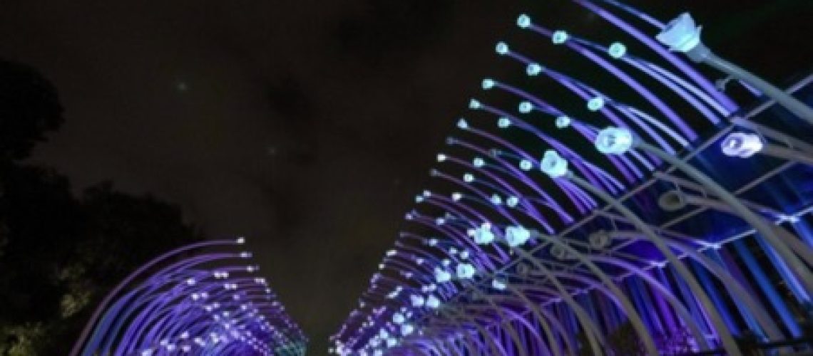Adulam Travel Sentosa Sensoryscape singapore-01