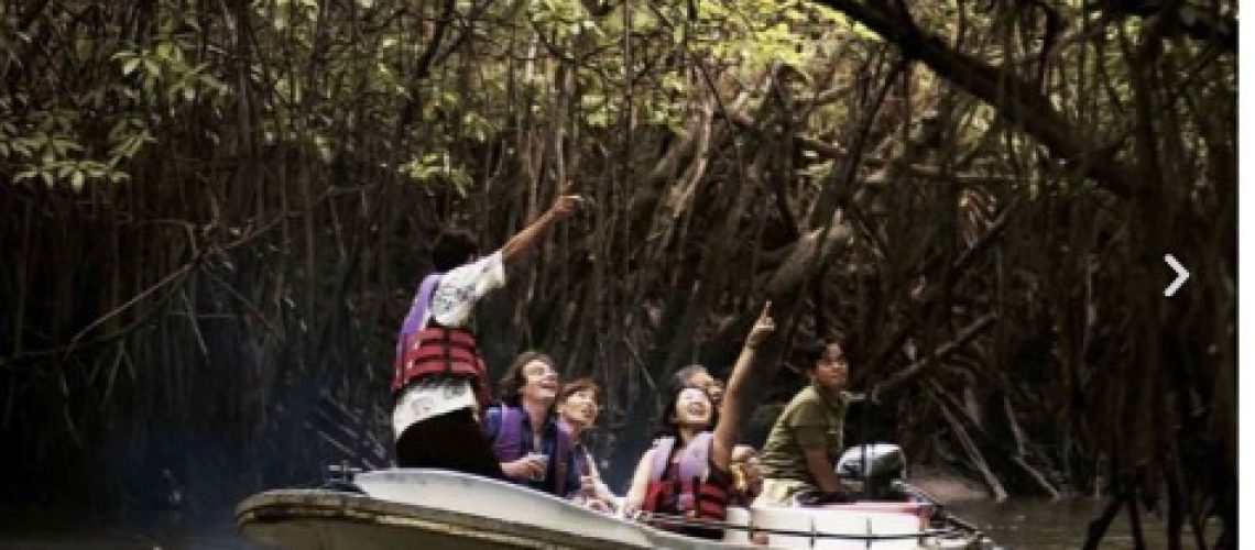 BLOG120 MANGGROVE TOUR DI BINTAN