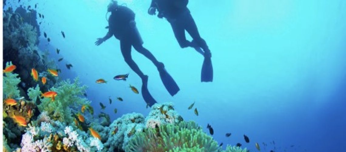 BLOG71 APA ITU SNORKLING